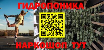 индика Краснокаменск