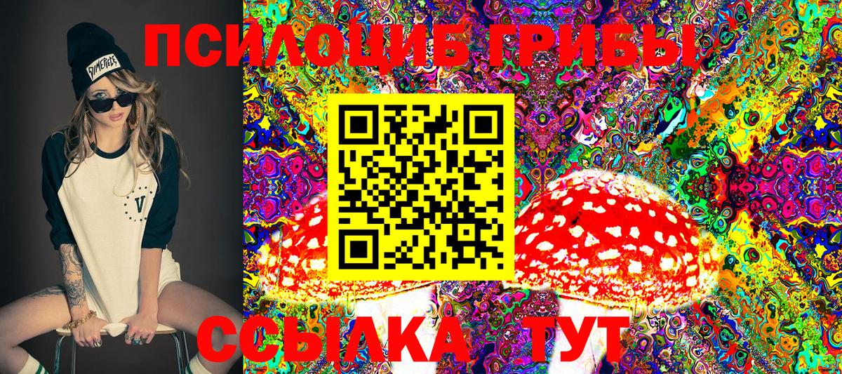 Галлюциногенные грибы Psilocybine cubensis Арсеньев